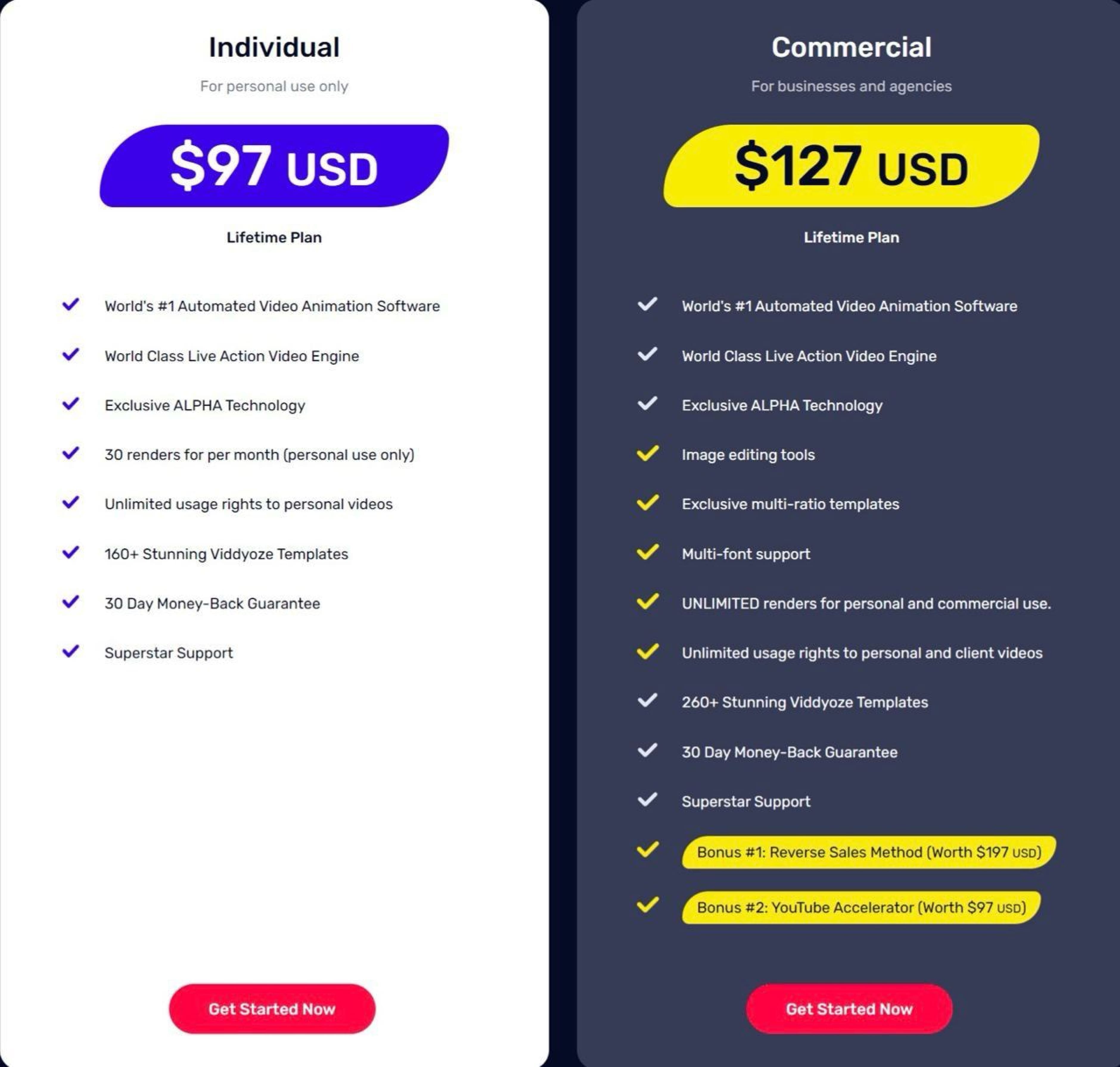 Viddyoze pricing model template