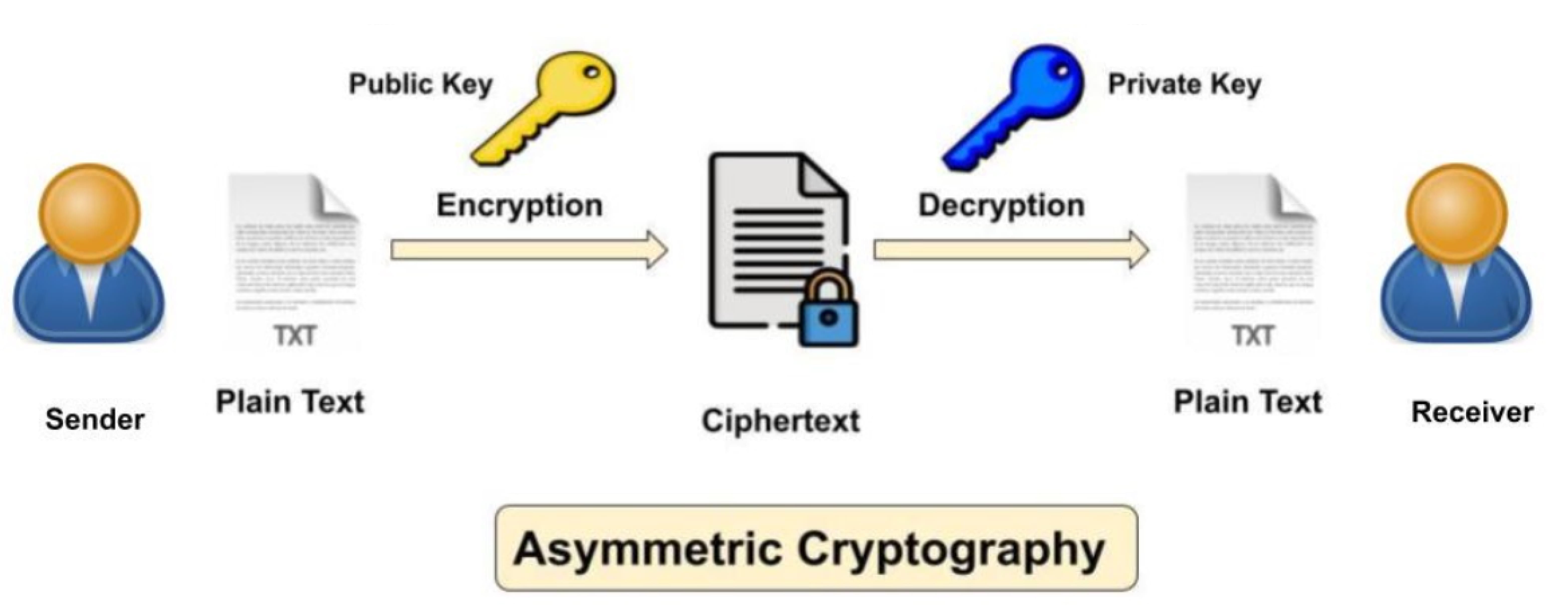 Elliptic curve cryptography